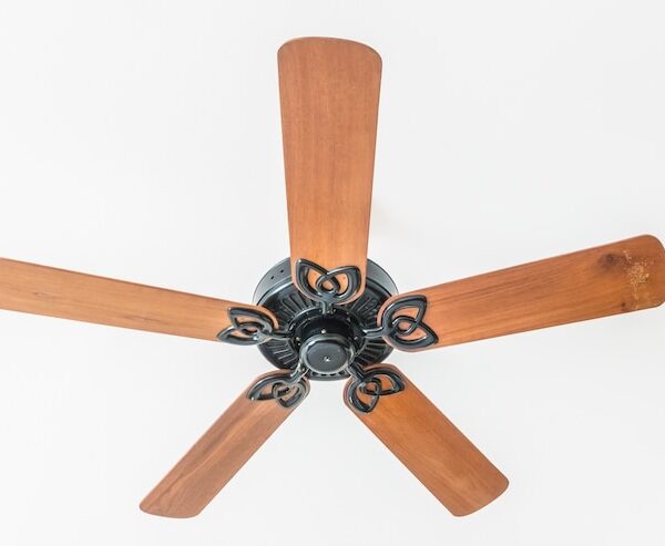 ceiling-fans_1203-2406