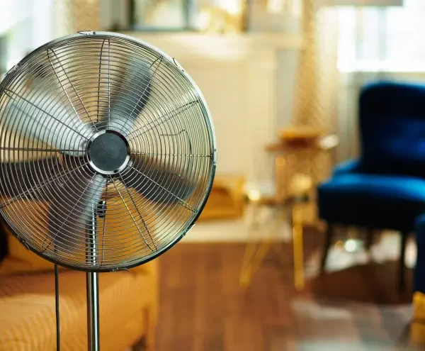 electric-fan-
