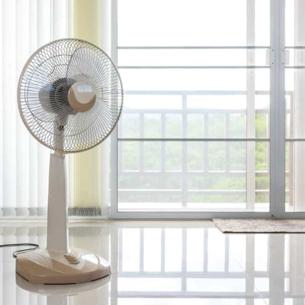 electric-fan-may212019-min