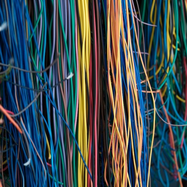 photo-1625276254563-f0fbbf66a5e7